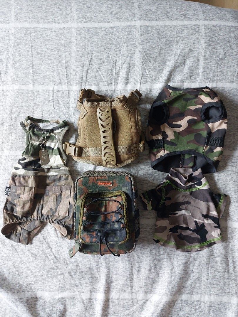 Chihuahua Accesories (Take All) (Category: Homes & Other Pet Accessories) located in Marikina City. Submitted by ladysas7 (Listing ID 1436121933, Image 1). Description: Includes: - 2 Harnesses (Never Used) -Backpack (Never used) - Camo shirt (lightly used) - Camo Body Suit with dog tag (used) - These accesories are for a small sized dog like a Chihuahua RFS: My chihuahua got fat so it is no longer suited for him🤣.