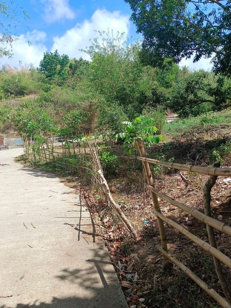 RUSH Famy Residential/Farm Lot (Category: Lot) located in Manila. Submitted by lexurygoods (Listing ID 1436133793, Image 3). Description: RUSH Farm Lot for Sale – Famy, Laguna 🌿 Lot Area: 2,516 sqm Price: ₱2,500/sqm (Negotiable) Details: • May kuryente na • 5 minutes lang from highway – madaling puntahan May mga fruit-bearing trees na: • Mangga • Santol • Langka • Buko • Kawayan May existing kubo – pwede for pahinga or weekend stay Terms: • Nego