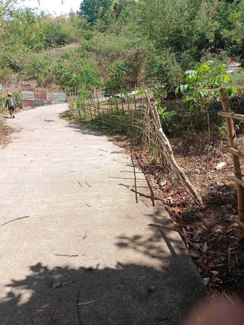 RUSH Famy Residential/Farm Lot (Category: Lot) located in Manila. Submitted by lexurygoods (Listing ID 1436133793, Image 2). Description: RUSH Farm Lot for Sale – Famy, Laguna 🌿 Lot Area: 2,516 sqm Price: ₱2,500/sqm (Negotiable) Details: • May kuryente na • 5 minutes lang from highway – madaling puntahan May mga fruit-bearing trees na: • Mangga • Santol • Langka • Buko • Kawayan May existing kubo – pwede for pahinga or weekend stay Terms: • Nego