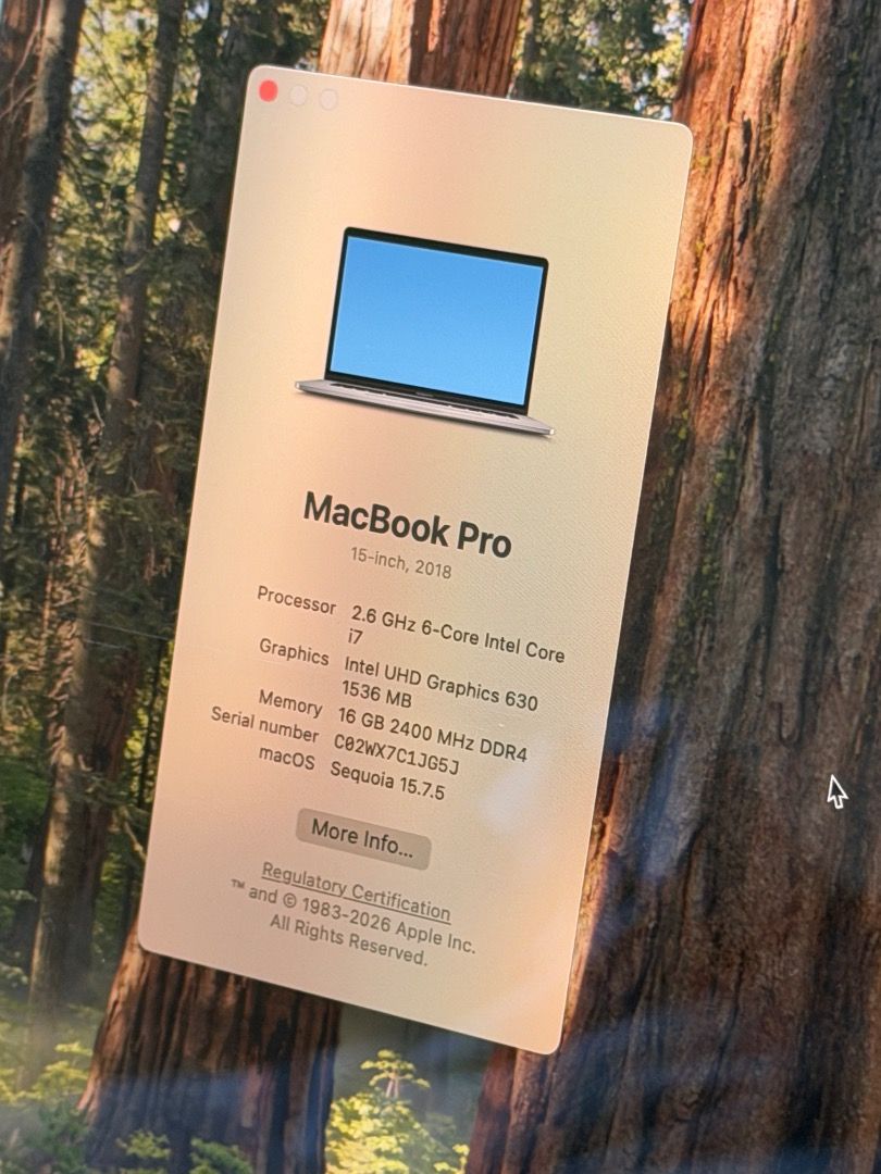 MacBook Pro 2018 15" 512 GB445663257056389121
