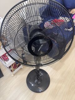 (Category: ) located in . Submitted by free1911 (Listing ID 1436240435, Image 1). Description: .