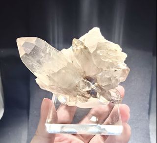 (Category: ) located in . Submitted by pnlartcrystals (Listing ID 1436190766, Image 1). Description: .