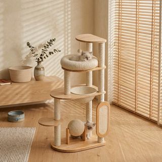 (Category: ) located in . Submitted by jimwucatstore (Listing ID 1436122511, Image 1). Description: .