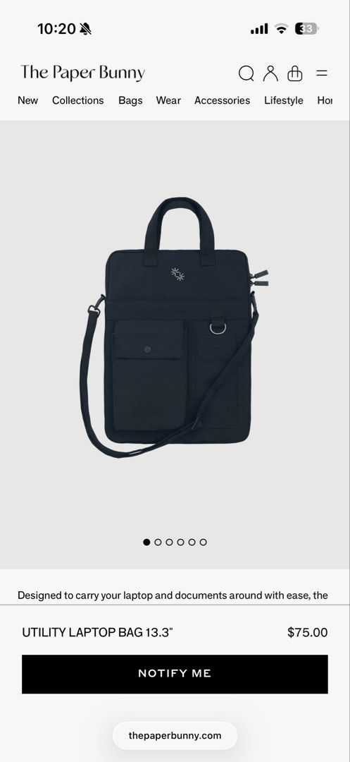ThePaperBunny Utility Laptop Bag