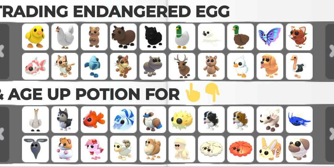 TRADING ENDANGERED EGG & AGE UP POTION FOR PETS/ITEMS ON PICTURE (Category: In-Game Products) located in Manila. Submitted by a_silor (Listing ID 1436142735, Image 1). Description: DM if you have questions! Offer how many you want for it, and we can negotiate ^-^.