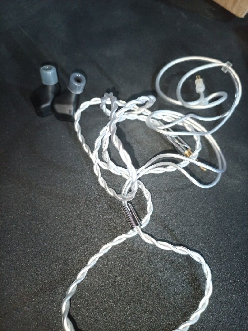 Truthear Pure (Category: Earphones) located in Del Monte. Submitted by yeuhhhhh (Listing ID 1436199328, Image 3). Description: FOR SALE: Truthear PURE – ₱3800 nego Selling my Truthear PURE in excellent condition. Details: Price: ₱3800 nego Condition: Well taken care of, no issues Includes: box, cables, complete tips, etc.) extra DUNU medium tip Reason for selling: Not using it anymore Meet-up: around SM North Delivery: Grab/Lalamove Message me if