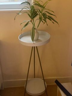 （分類：）位於 。 由 caseypi101 提交（商品編號 1436259695，圖片 1）。簡介： 。