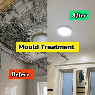 Anti Mould Treatment  Collection item 3