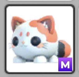 (Category: ) located in . Submitted by -qing- (Listing ID 1436193946, Image 1). Description: .