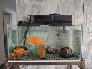 (Category: ) located in . Submitted by malarvani (Listing ID 1436324879, Image 1). Description: .