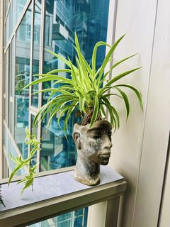 （分類：）位於 。 由 susanl03 提交（商品編號 1436297471，圖片 1）。簡介： 。
