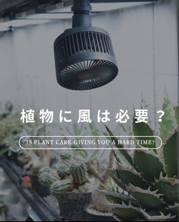 （分類：）位於 。 由 PlantsOfLegend 提交（商品編號 1436380827，圖片 1）。簡介： 。