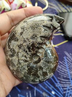 (Category: ) located in . Submitted by sibs_ph_onlineshop (Listing ID 1436348529, Image 1). Description: .