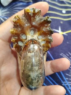 (Category: ) located in . Submitted by sibs_ph_onlineshop (Listing ID 1436350724, Image 1). Description: .