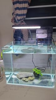 (Category: ) located in . Submitted by Harmankardon (Listing ID 1436435499, Image 1). Description: .