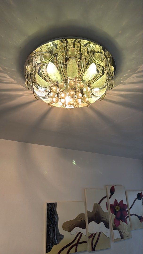 Ceiling light446475695440547841