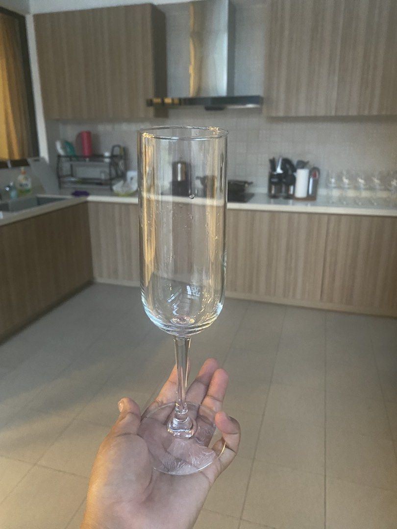 Elegant Wine Glasses446877761473751044