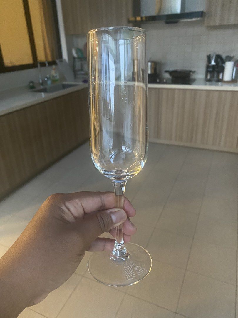Elegant Wine Glasses446877761473751045