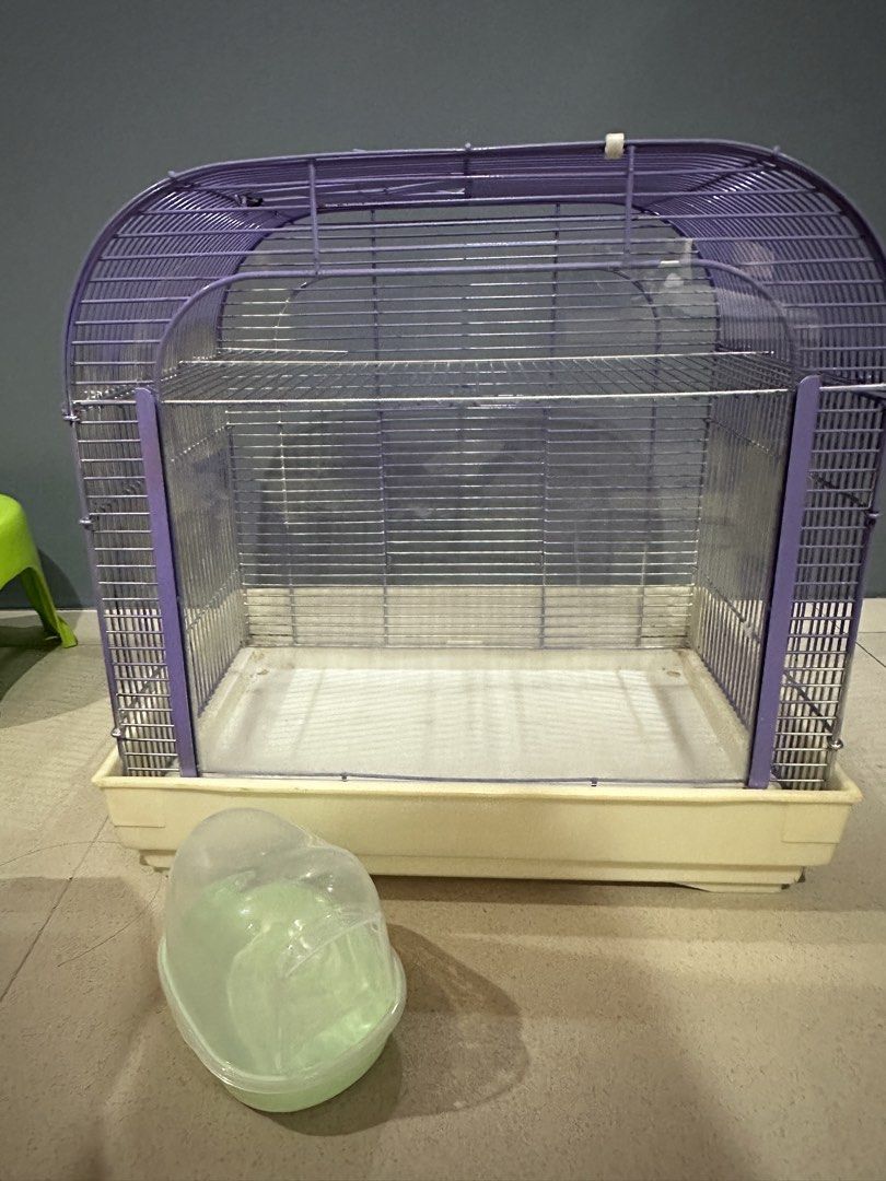 hamster cage with free toilet (Category: Homes & Other Pet Accessories) located in Caloocan City. Submitted by ashleyscorner (Listing ID 1436323179, Image 1). Description: - Purple wire frame - Removable base for easy cleaning size L-15-1/2 inches w- 11-1/2 inches h-15 inches.