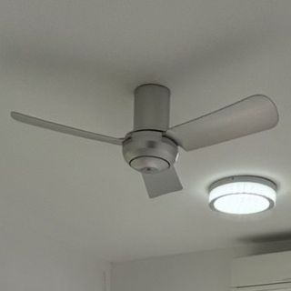 (Category: ) located in . Submitted by pizzaqueen (Listing ID 1436430251, Image 1). Description: .