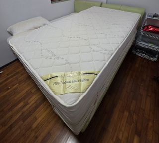 (Category: ) located in . Submitted by teddytheweythai (Listing ID 1436461971, Image 1). Description: .