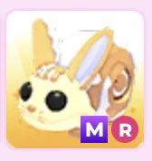 Mega Ride Bunny Swirl Roblox Adopt Me (Category: In-Game Products) located in San Juan City. Submitted by btnqsd (Listing ID 1436310431, Image 1). Description: adm mr bunny swirl for sale! • one stock only • can meet in game before payment • price slightly negotiable mop: gcash.