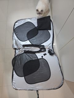 (Category: ) located in . Submitted by cocochanel.ragdoll (Listing ID 1436412874, Image 1). Description: .