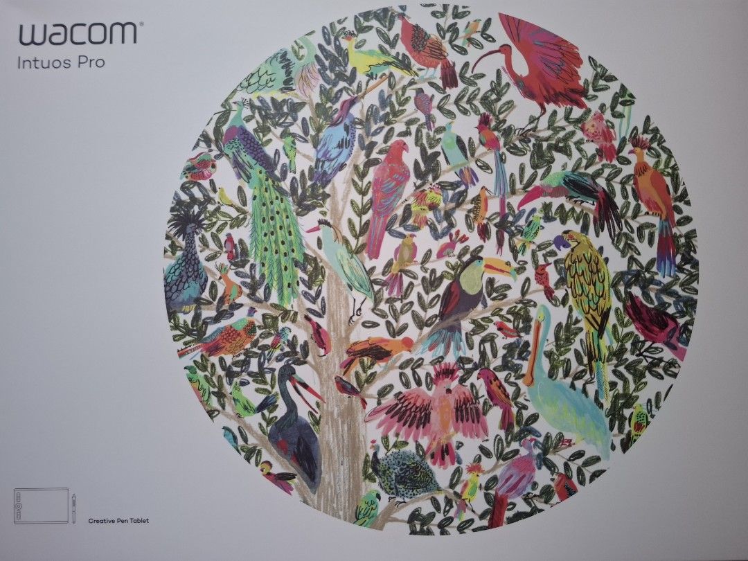 Wacom Intuos Pro 2017 (M size)