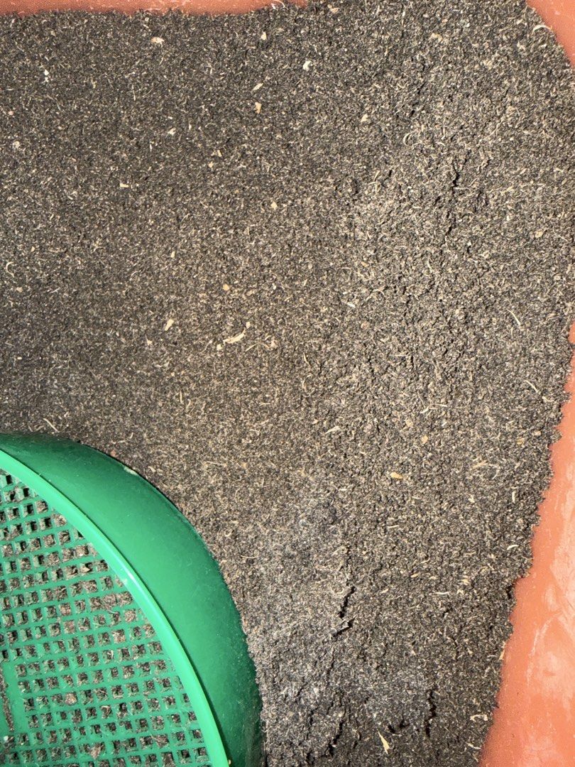 Worm compost446404680043079680