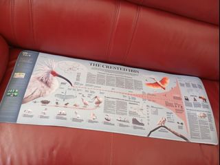 New Mouse Pad 77x29455126274561157120