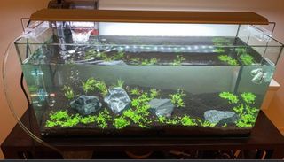 (Category: ) located in . Submitted by eondonyaploh (Listing ID 1436475101, Image 1). Description: .