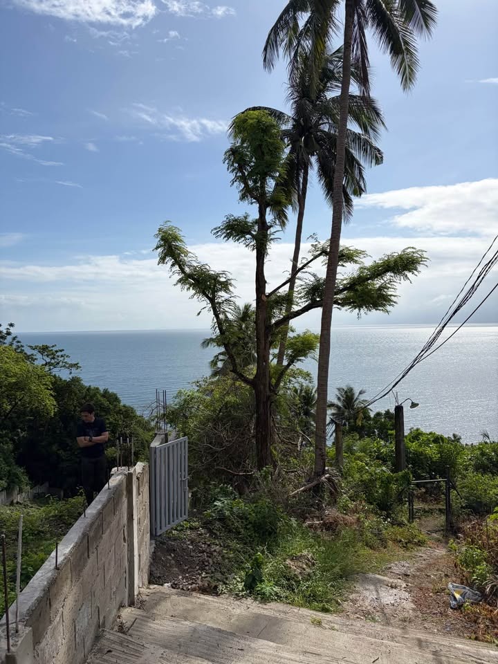 (Category: ) located in . Submitted by leadvision.realty (Listing ID 1436491937, Image 1). Description: .