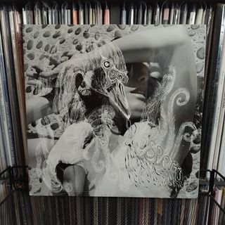 (Category: ) located in . Submitted by kopisrecords (Listing ID 1436517195, Image 1). Description: .
