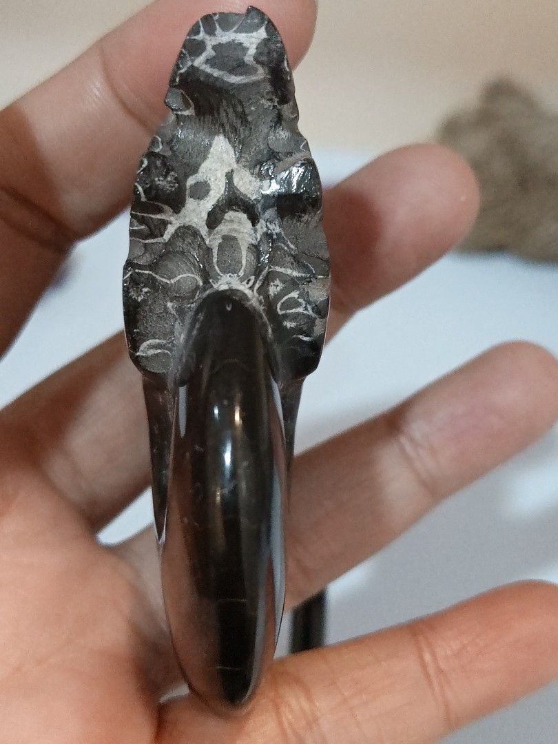 Black Ammonite Fossil (Category: Precious Stones) located in Bulacan. Submitted by sibs_ph_onlineshop (Listing ID 1436599998, Image 3). Description: -Picture may vary color due to light. -Natural stone ***2026 Firm Policy Payment First sa Shipping Fee if ayaw po pass**** For more pics or detailed information just pm us. Thanks✌️😄💯 All Natural stones have crack,lines,holes, dents etc Location: SAN JOSE DEL MONTE BULACAN MODE OF PAYMENT: BANK/GCA
