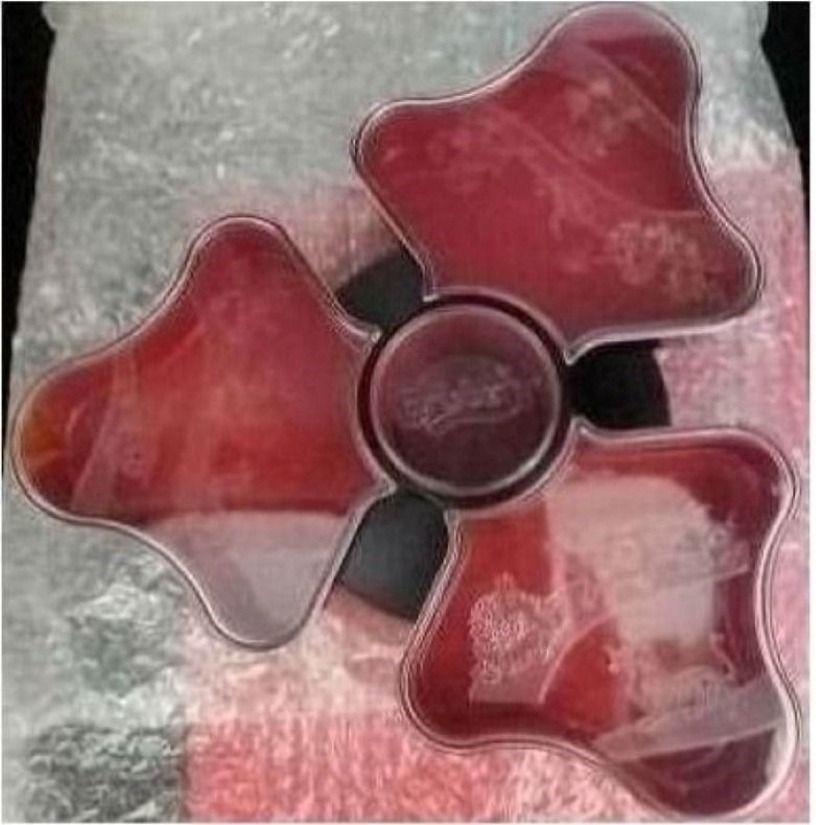 Circular Foodstuff Tray447296335963770881