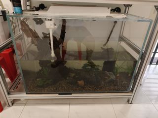 (Category: ) located in . Submitted by lim100 (Listing ID 1436475502, Image 1). Description: .