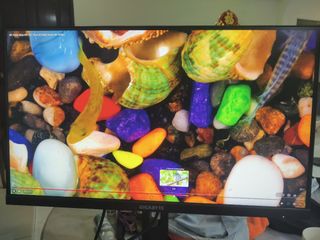 (Category: ) located in . Submitted by deaglex (Listing ID 1436621789, Image 1). Description: .