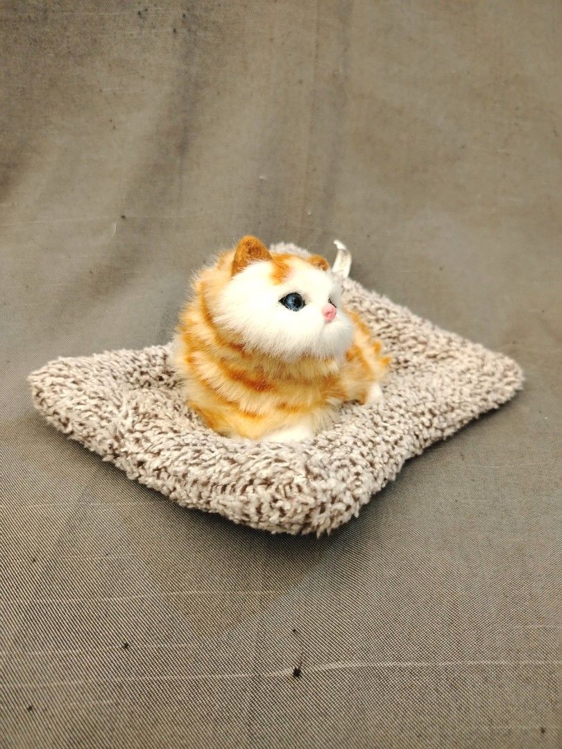 Ginger Orange Kitten Cat in Mat Plushie Display (Category: Plushies & Soft Toys) located in San Fernando. Submitted by jpmarketplace2023 (Listing ID 1436583614, Image 2). Description: 💚 All items are authentic from Japan. 💛 MOP: GCash (❌️ GCash Protect) 🩵 MOD: LBC only (❌️ S. Checkout, COD, COP) 💙 Meet-up: Vista Mall, San Fernando, Pampanga 💜 All items are on-hand. 🧡 First to pay gets the item first. ❤️ Breakable items are packed with care 