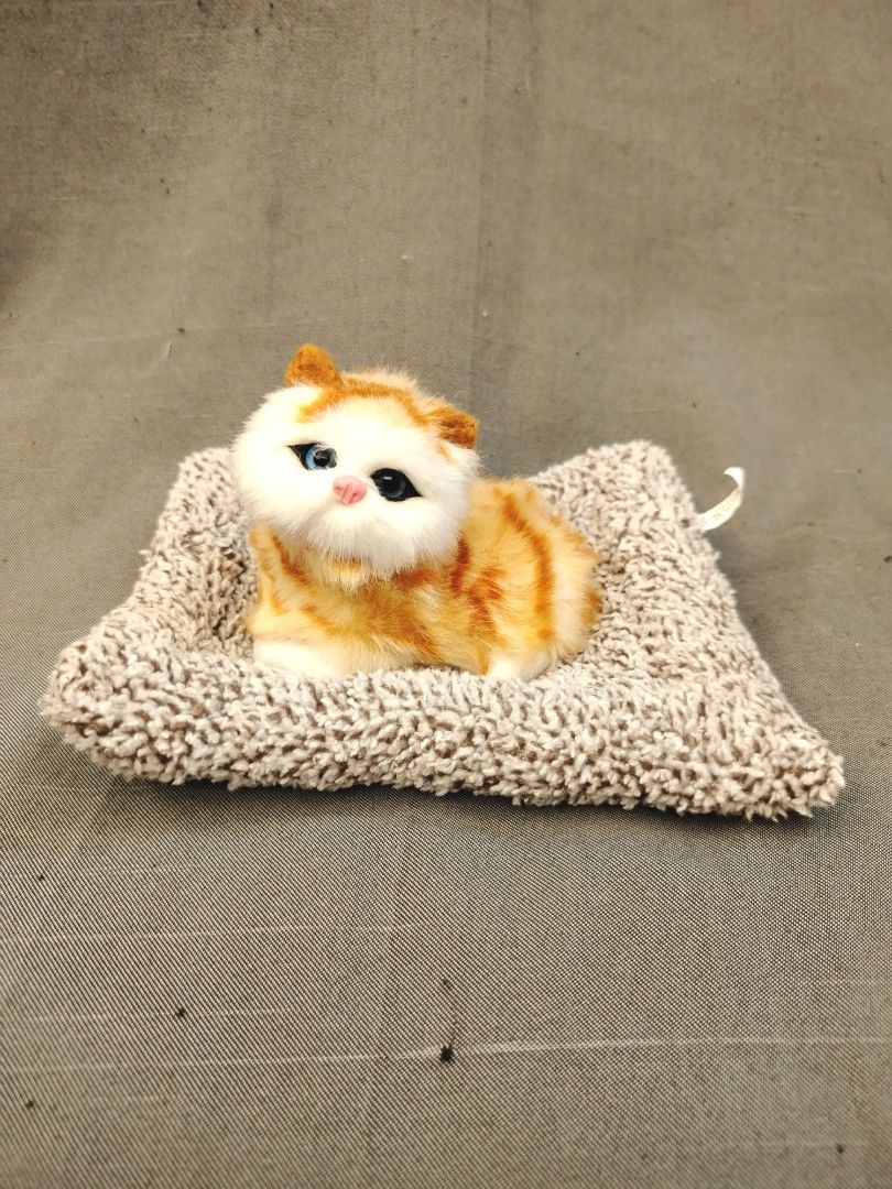 Ginger Orange Kitten Cat in Mat Plushie Display (Category: Plushies & Soft Toys) located in San Fernando. Submitted by jpmarketplace2023 (Listing ID 1436583614, Image 1). Description: 💚 All items are authentic from Japan. 💛 MOP: GCash (❌️ GCash Protect) 🩵 MOD: LBC only (❌️ S. Checkout, COD, COP) 💙 Meet-up: Vista Mall, San Fernando, Pampanga 💜 All items are on-hand. 🧡 First to pay gets the item first. ❤️ Breakable items are packed with care 