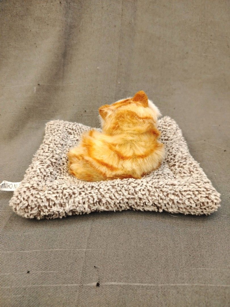 Ginger Orange Kitten Cat in Mat Plushie Display (Category: Plushies & Soft Toys) located in San Fernando. Submitted by jpmarketplace2023 (Listing ID 1436583614, Image 3). Description: 💚 All items are authentic from Japan. 💛 MOP: GCash (❌️ GCash Protect) 🩵 MOD: LBC only (❌️ S. Checkout, COD, COP) 💙 Meet-up: Vista Mall, San Fernando, Pampanga 💜 All items are on-hand. 🧡 First to pay gets the item first. ❤️ Breakable items are packed with care 