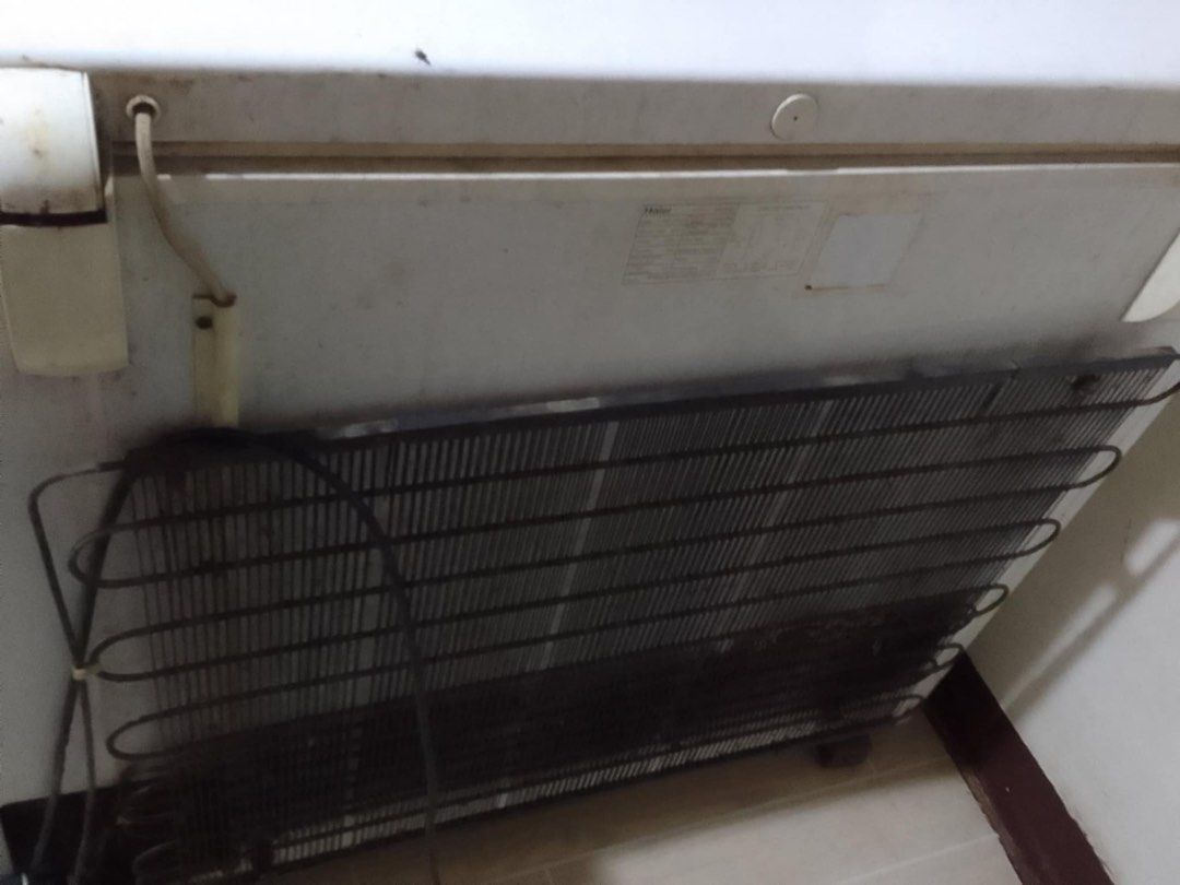 Haier Freezer (Category: Refrigerators and Freezers) located in Plaridel. Submitted by bravewhale-c60c97 (Listing ID 1436478637, Image 1). Description: Works well Issue- Medyo Kalawangin na ang ilalim. Negotiatiable.