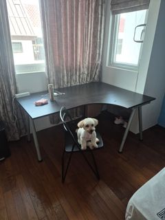 (Category: ) located in . Submitted by iiyama (Listing ID 1436530138, Image 1). Description: .