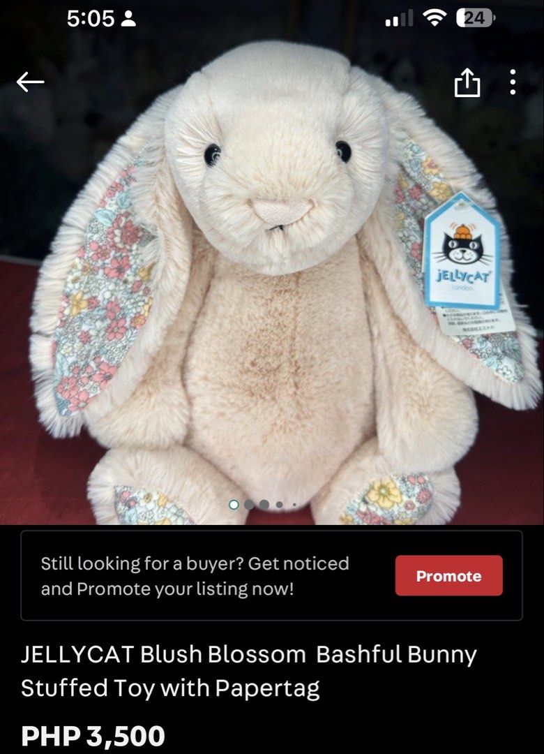 Jellycat Medium Blossom Bashful Bunny Stuffed Toy (Category: Plushies & Soft Toys) located in Pasig City. Submitted by katplush_superlove (Listing ID 1436556205, Image 3). Description: Every blossom now 2000php from 2500. Blossom collection for sale. See all pics for all avail. Reposting so each individual items are easy to browse in one click. Additionally, each one l’a listed so feel free to browse. You may get a discount if you’re getting two 