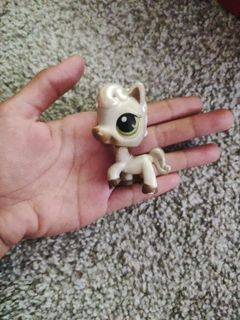 (Category: ) located in . Submitted by booley (Listing ID 1436477656, Image 1). Description: .