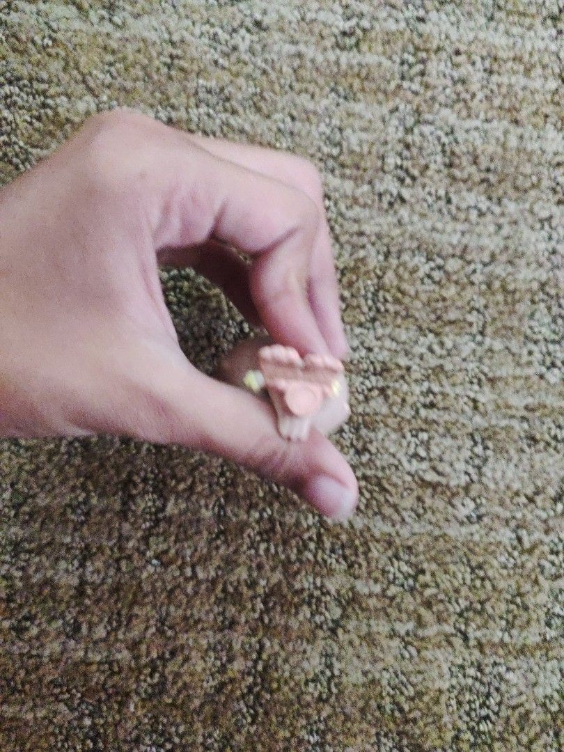 Littlest Pet Shop Toy (Category: Kids Toys) located in Subic. Submitted by booley (Listing ID 1436491368, Image 3). Description: .