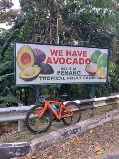 (Category: ) located in . Submitted by limandteh (Listing ID 1436559400, Image 1). Description: .