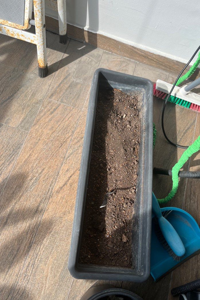 Rectangular Plastic Planter Box447533160282214400