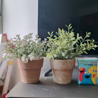 （分類：）位於 。 由 cck_cck_cck 提交（商品編號 1436507774，圖片 1）。簡介： 。