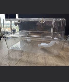 (Category: ) located in . Submitted by c.sophia (Listing ID 1436681987, Image 1). Description: .