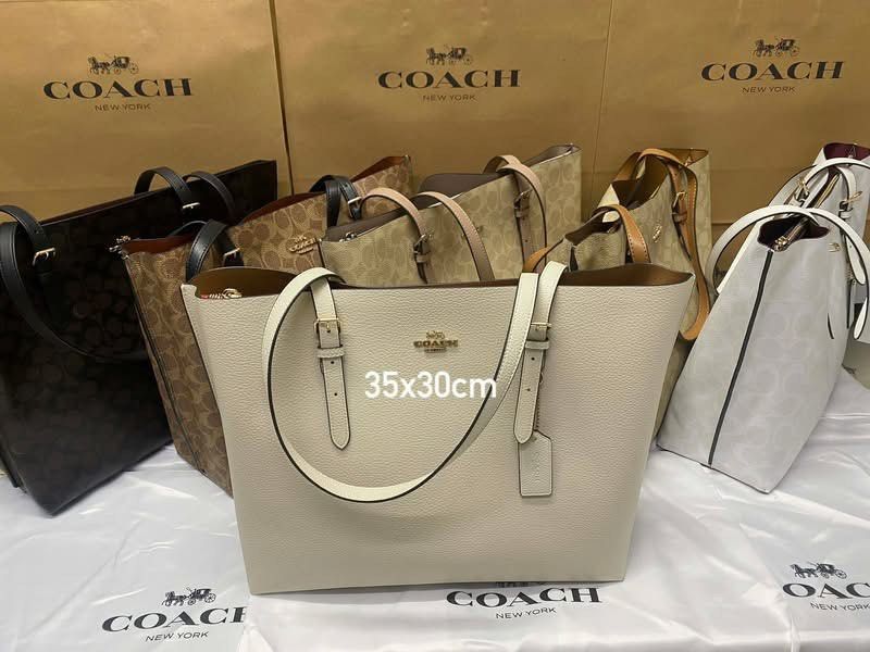 Coach Mollie Tote (Category: Luxury Bags & Wallets) located in Valenzuela. Submitted by markailandco. (Listing ID 1436809468, Image 1). Description: Brandnew Mallpullout Complete with paper bag.
